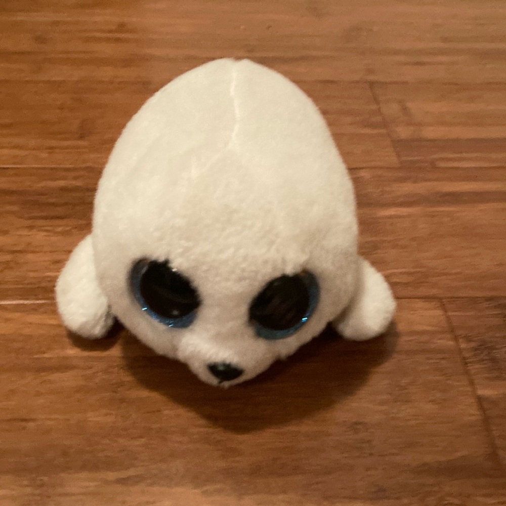 Icy the seal